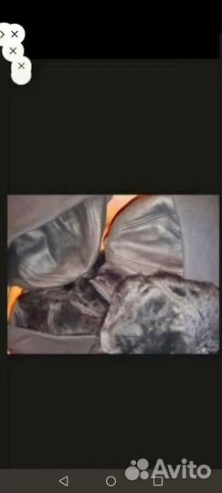 Шапка Кожа Натуральная