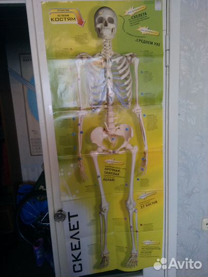 Учебное пособие для детей 