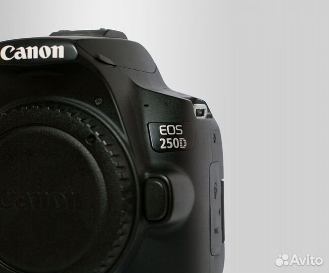 Фотоаппарат Canon EOS 250D