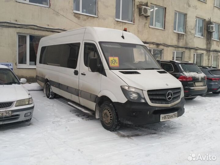 Микроавтобусы, автобусы