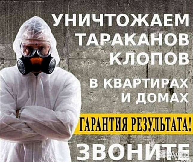 Уничтожение клопов тараканов блох мышей муравьев