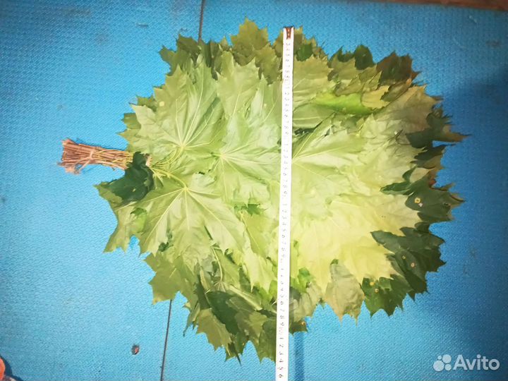 Кленовый веник