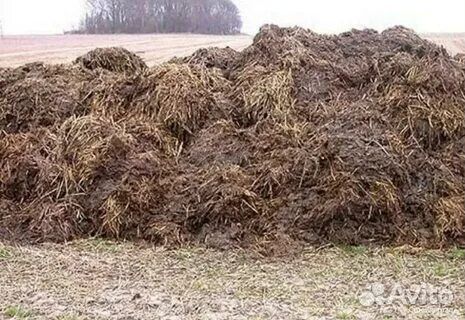 Навоз перегной