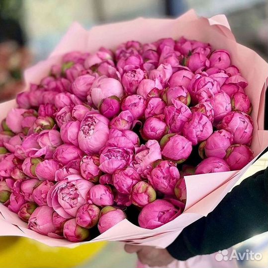 Пионы Букеты Цветы Доставка