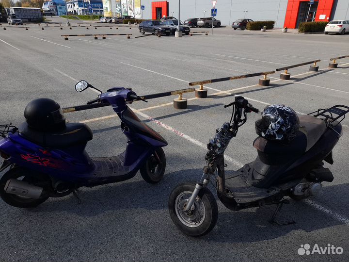 Продам ирбис каори