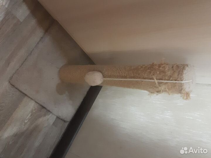 Когтеточка домик для кошки бу