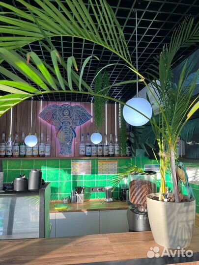 Франшиза Bali Island Coffee с быстрой окупаемостью