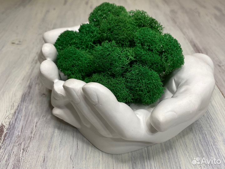 Кашпо руки органайзер