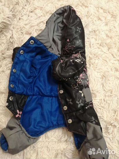 Костюмы для собак