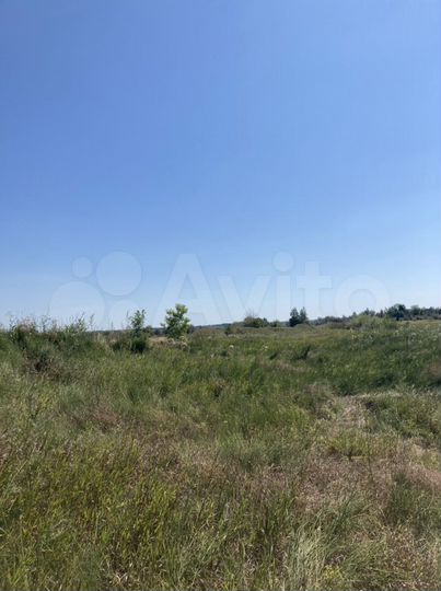 Участок 6 га (СНТ, ДНП)