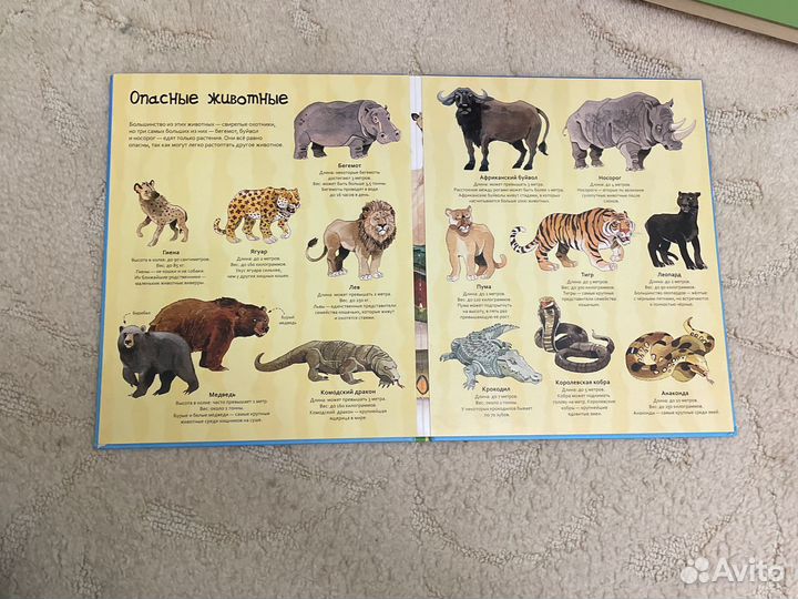 Большая книга о животных