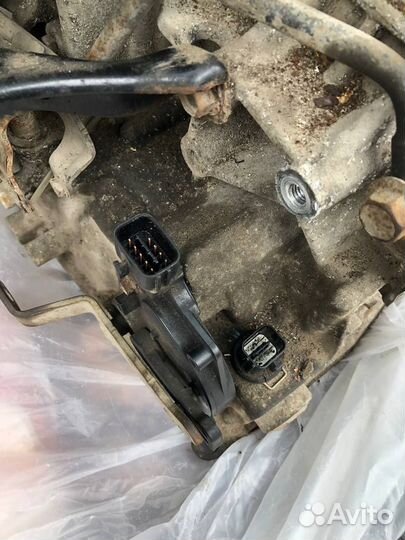 АКПП nissan sunny bluebird wingroad QG15DE торг