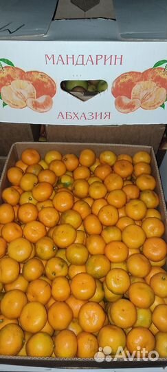 Мандарины,Яблоки