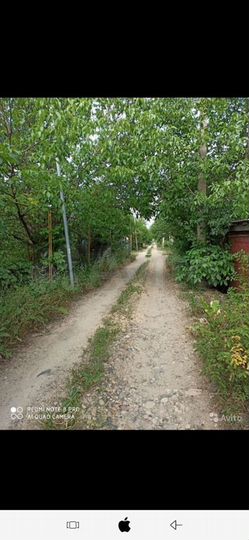 Участок 4,5 сот. (СНТ, ДНП)