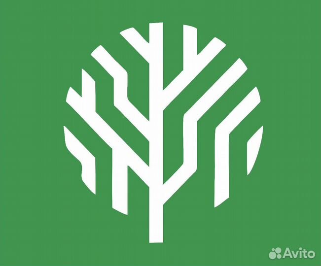 Помощник руководителя