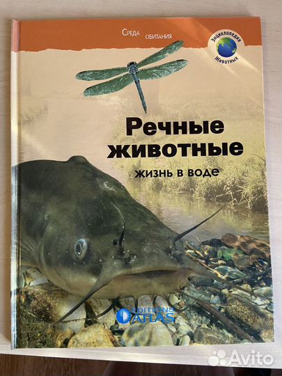 Книги (комплект из 34 книг)