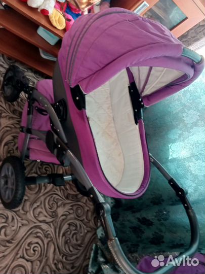 Коляска 2 в 1 anmar
