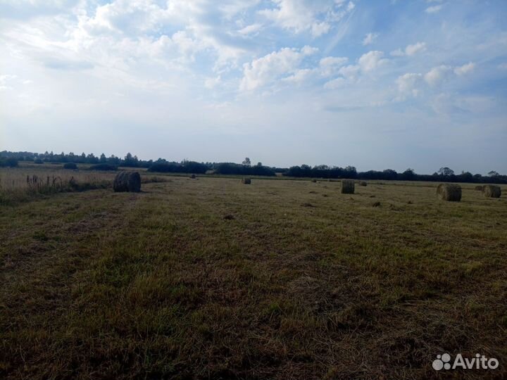 Сено в рулонах