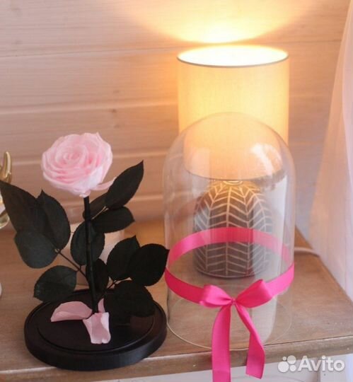 Роза в колбе