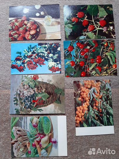 1968 - 1969 годы Цветы открытки чистые