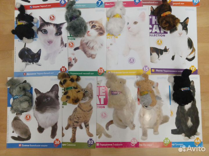 Котята the cat collection