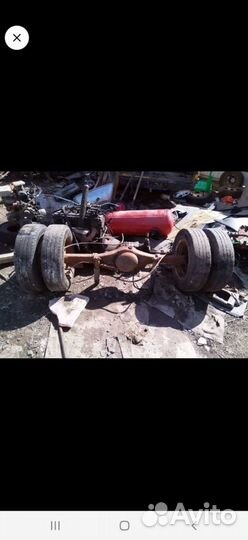 Газель Соболь чулок