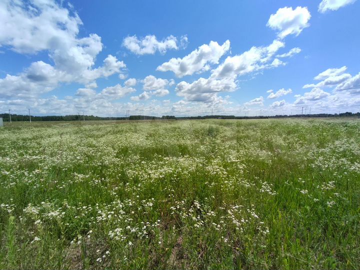 Участок 10,4 сот. (СНТ, ДНП)