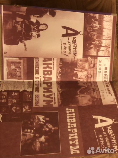 Дюша Романов «История Аквариума.Книга флейтиста»(к