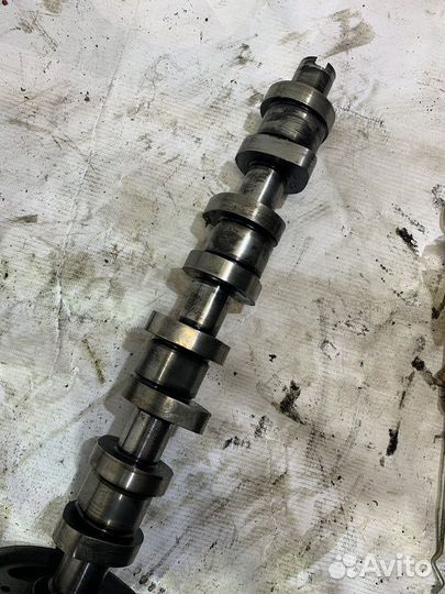 Распредвал Volkswagen Sharan