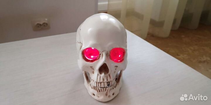 Свирепый череп