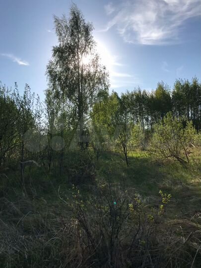 Участок 49 сот. (ИЖС)