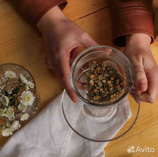 Лекарственные травы