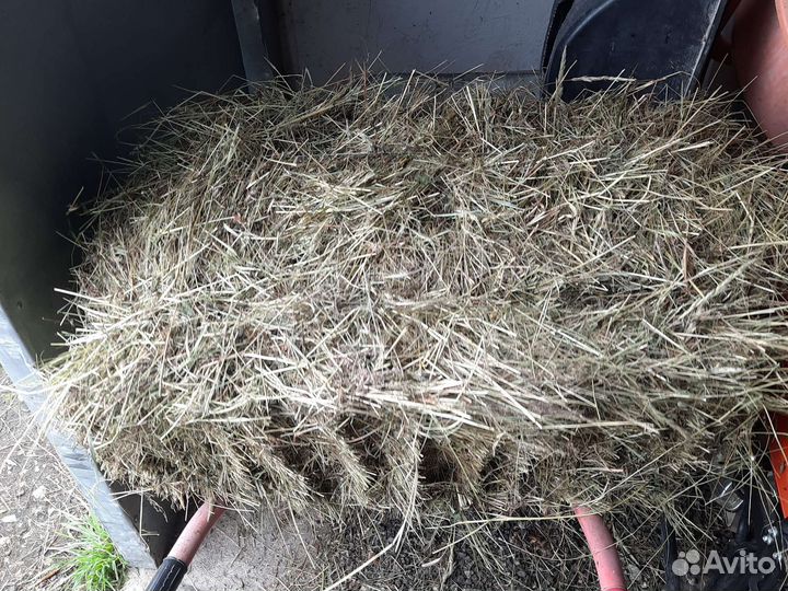 Сено в тюках