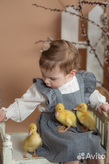 Блузка zara для девочки 86