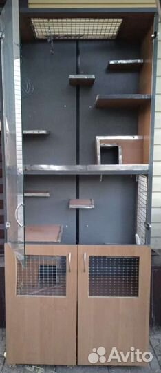 Витрина для шиншилл