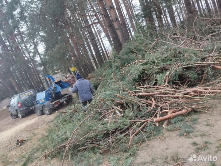 Расчистка участка
