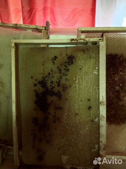 Сушь для пчел