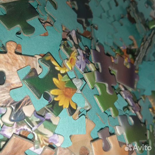 Пазлы 500 деталей