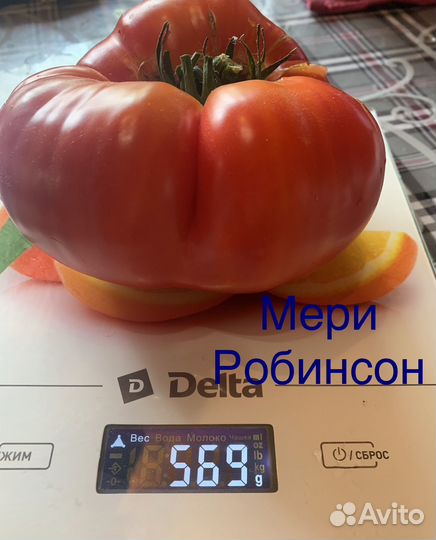 Семена томатов