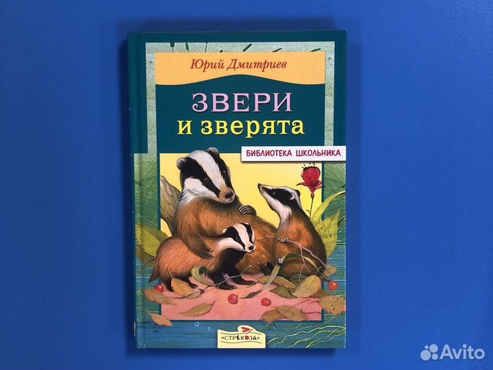 Библиотека школьника