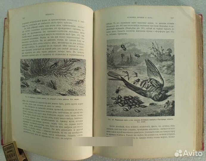 Jean Henri Fab Инстинкт и нравы насекомых 1898 г