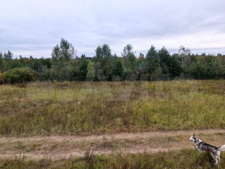 Участок 10,5 сот. (ИЖС)