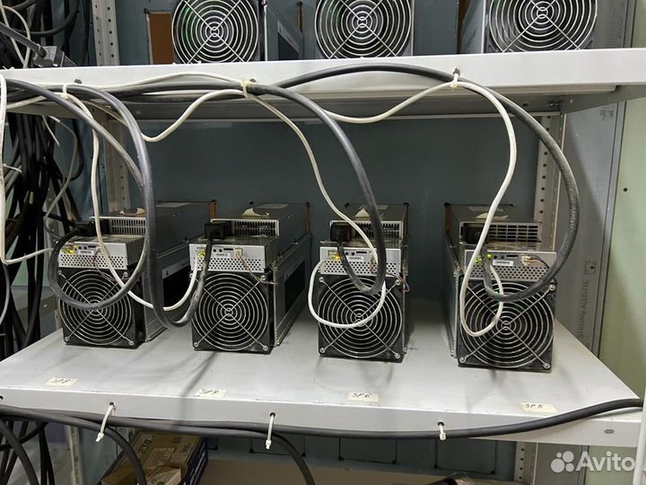 Асики Whatsminer m31s 76 th