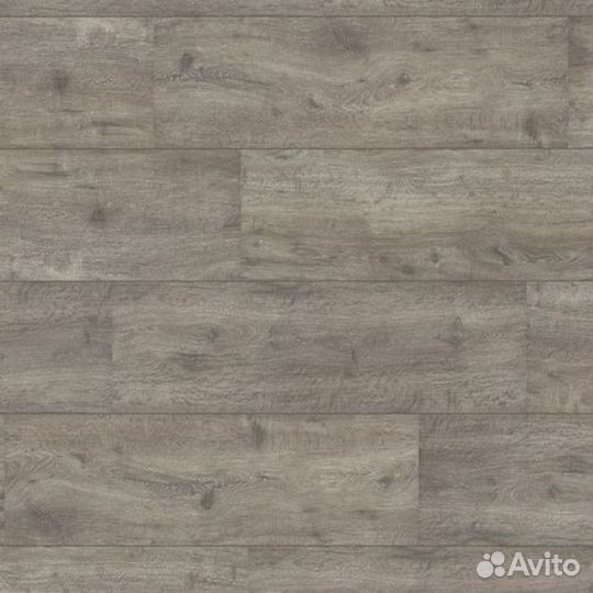 Ламинат Wineo Wineo 500 Large V2 LA060LV2 Дуб Перч