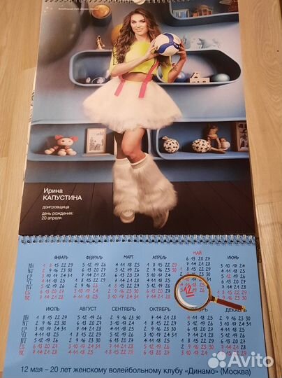 Календарь Динамо волейбол