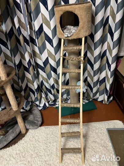Когтеточка для кошек