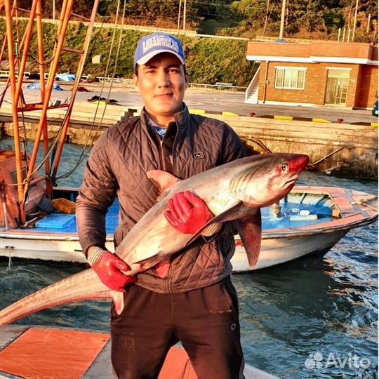 Работа в Южной Корее на море, ловля рыбы