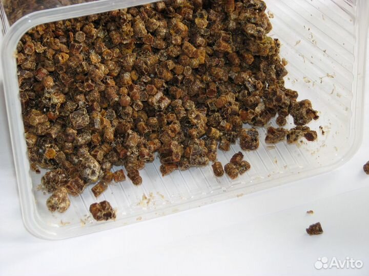 Перга пчелиная