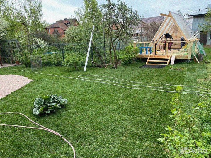 Озеленение участка