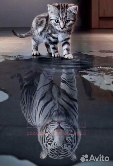 Алмазная мозаика 40x50 Огромные мечты маленького